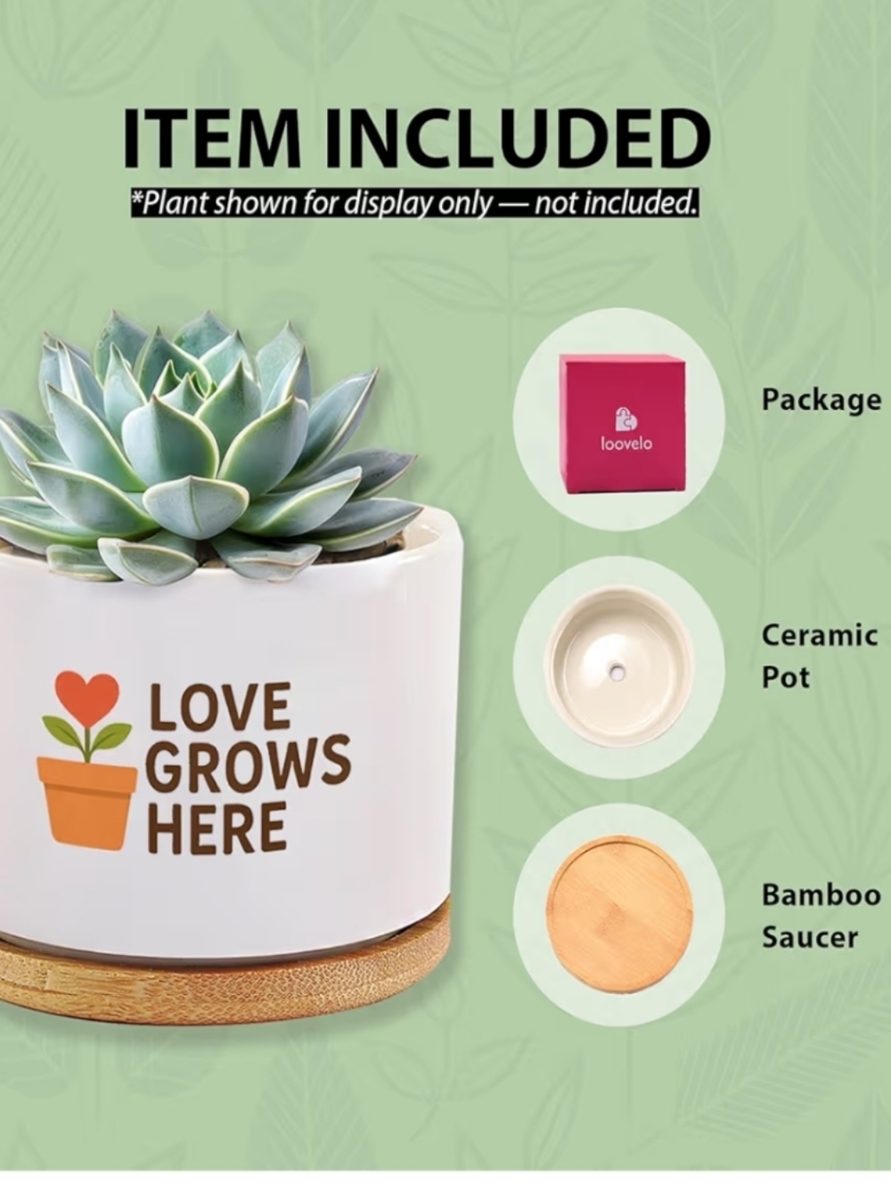Love Grows Here Ceramic Succulent Plant Pot - Picture 4 of 4